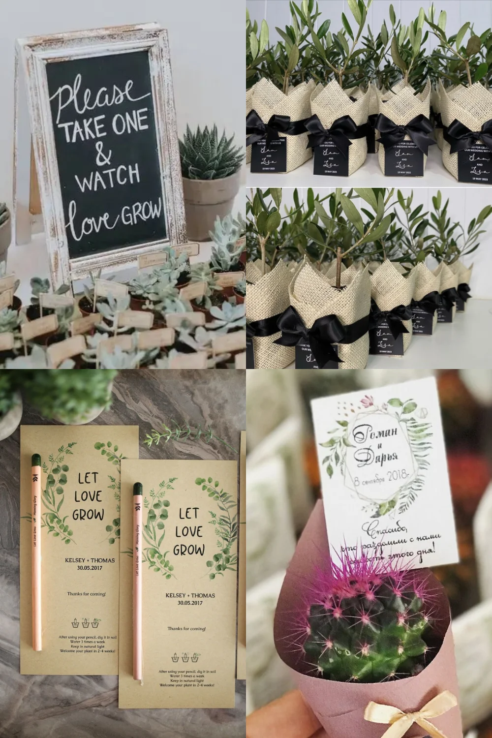 hochzeitstipps - 3. Pflanzen als Hochzeitsgesch