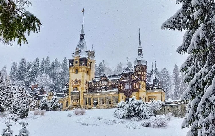 activități de iarnă în familie